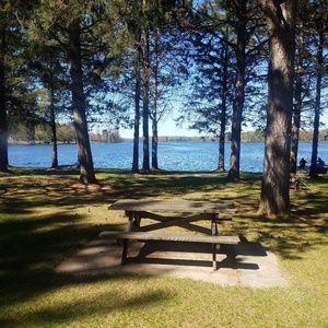 Meet your Posher, Jenni